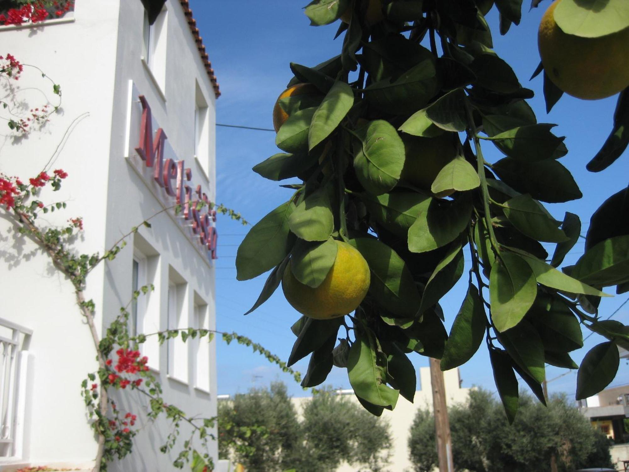 Melissa Apartments, Studios & Suites Malia Exteriör bild